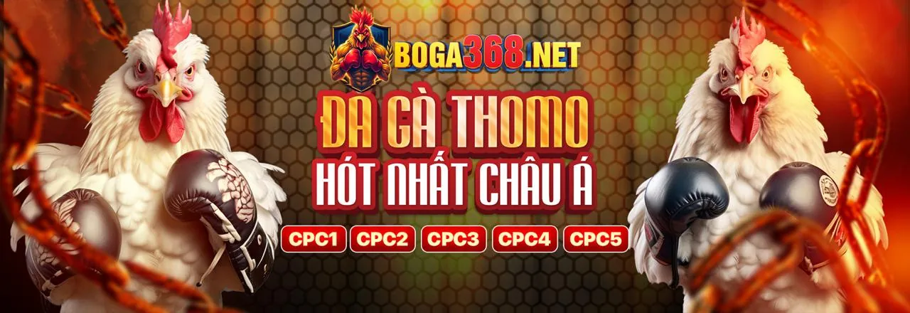 Ưu điểm vượt trội của nền tảng 8day8 bet